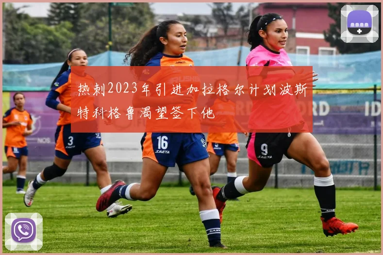 热刺2023年引进加拉格尔计划波斯特科格鲁渴望签下他