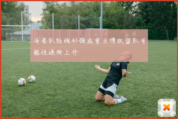 海港队防线补强成重点傅欢留队可能性逐渐上升